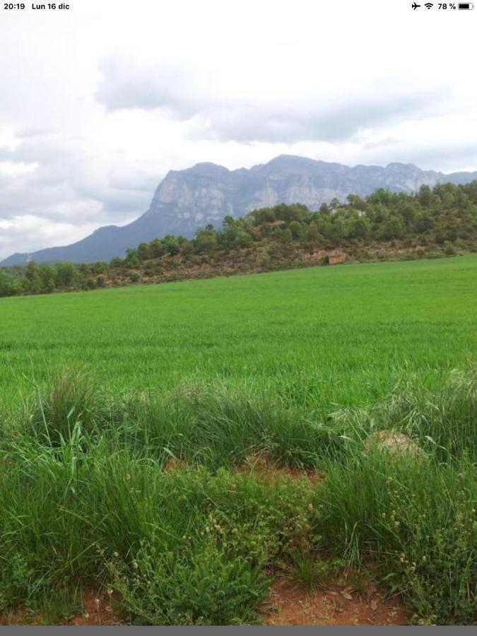 Preciosas Vistas A La Montana, Luminoso Y Acogedor El Pueyo de Araguás Exterior foto