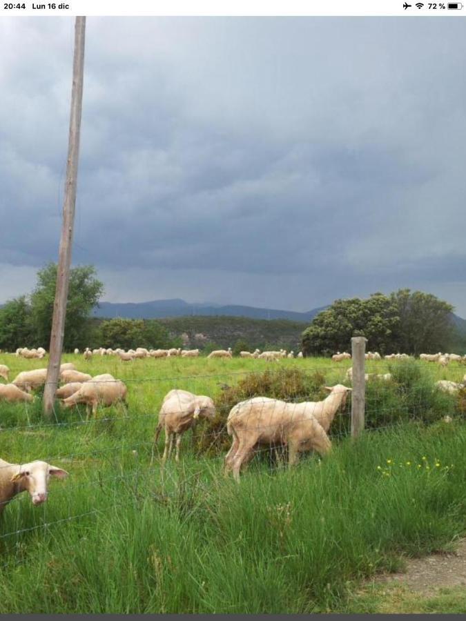 Preciosas Vistas A La Montana, Luminoso Y Acogedor El Pueyo de Araguás Exterior foto